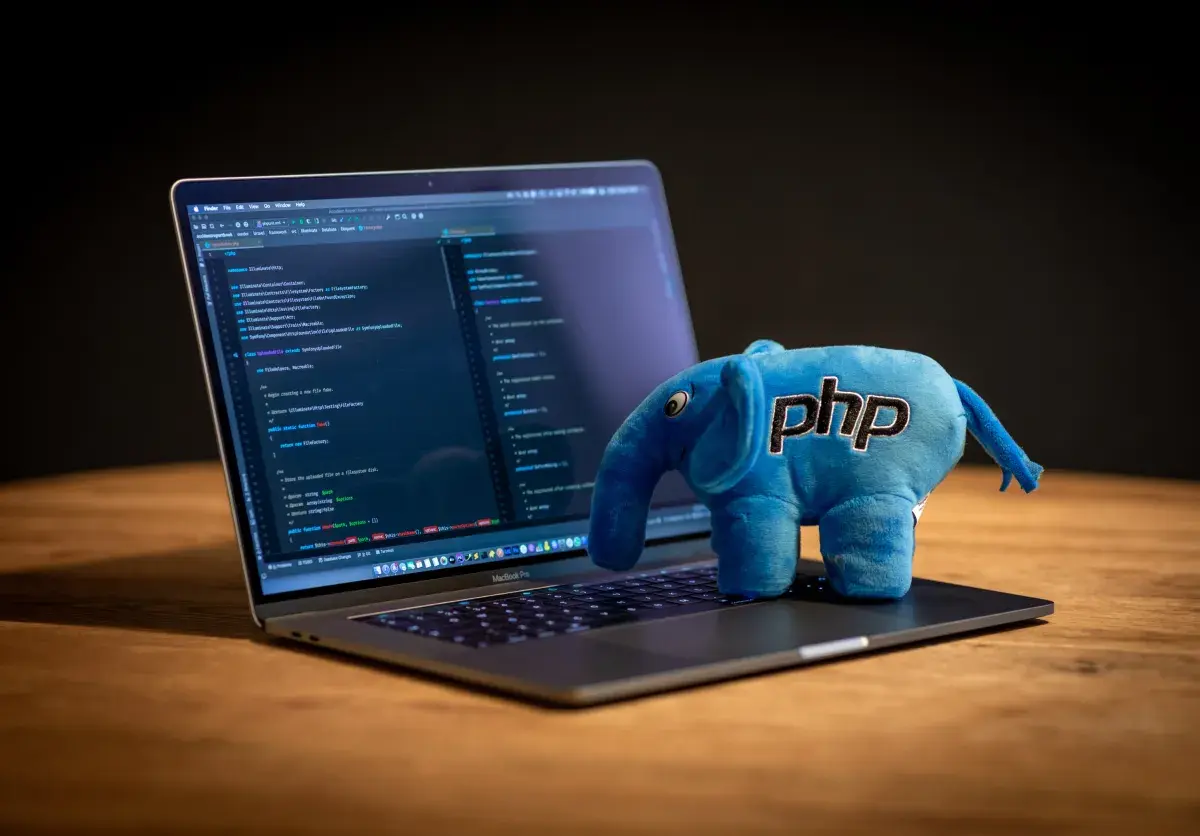 Freelance php developer graphic with elephant on laptop